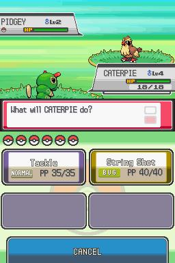 Pokemon Fire Red DS Image