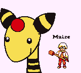 Pokemon Maize Image