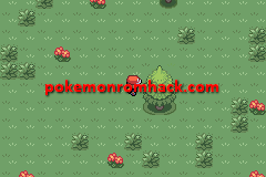 Pokemon Maia Version Image